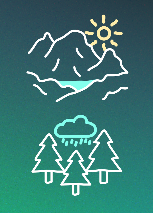 Forest metaphor: trees under a local rain cloud beside a sunlit mountain landscape